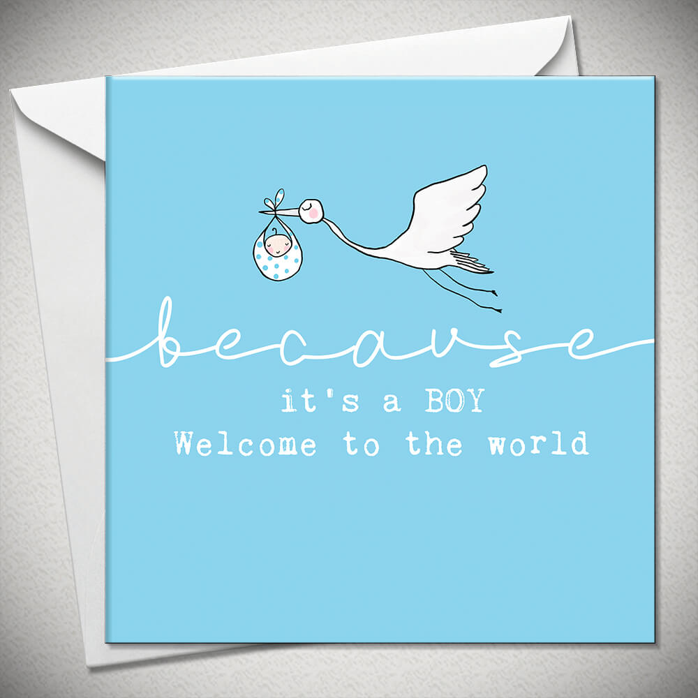 Because its a Boy...