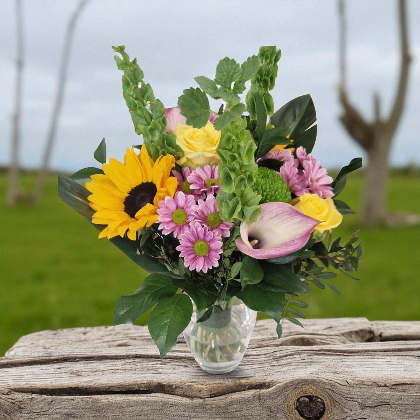 Sunlit Harmony with Vase