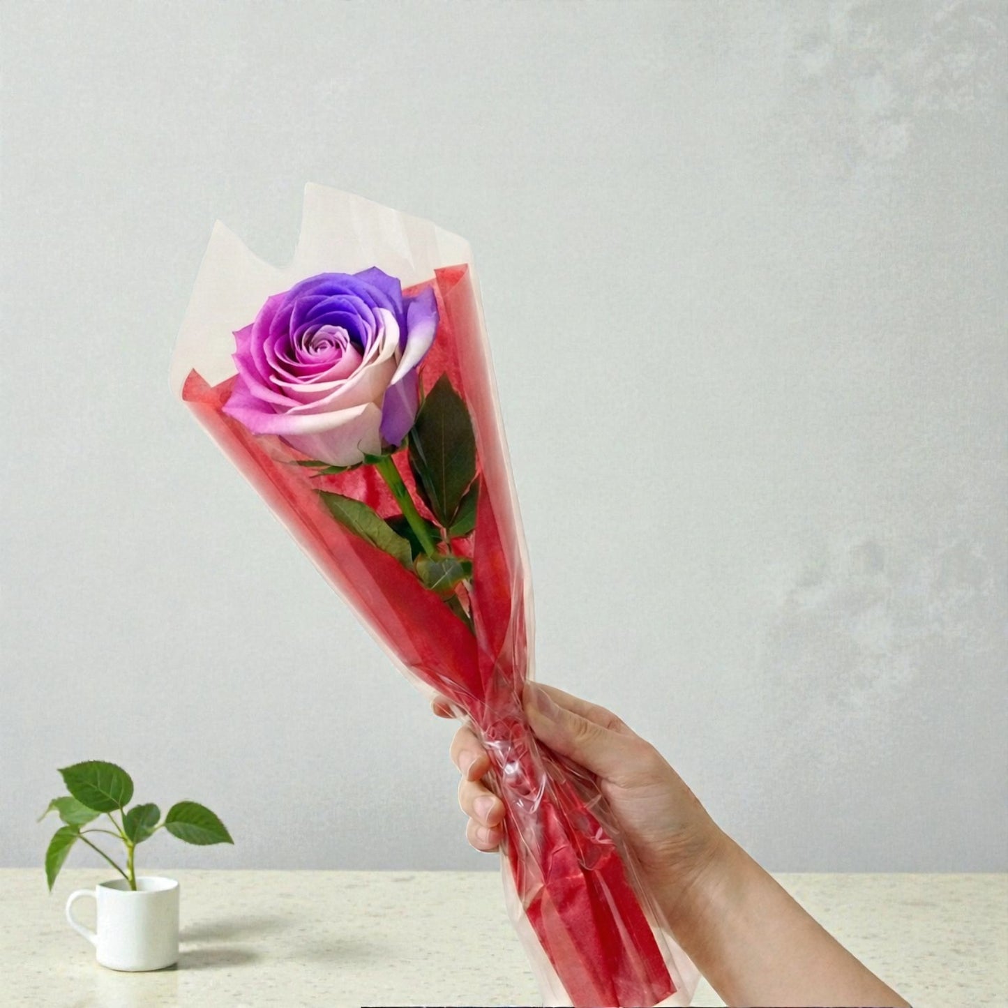 Single Unicorn Rose