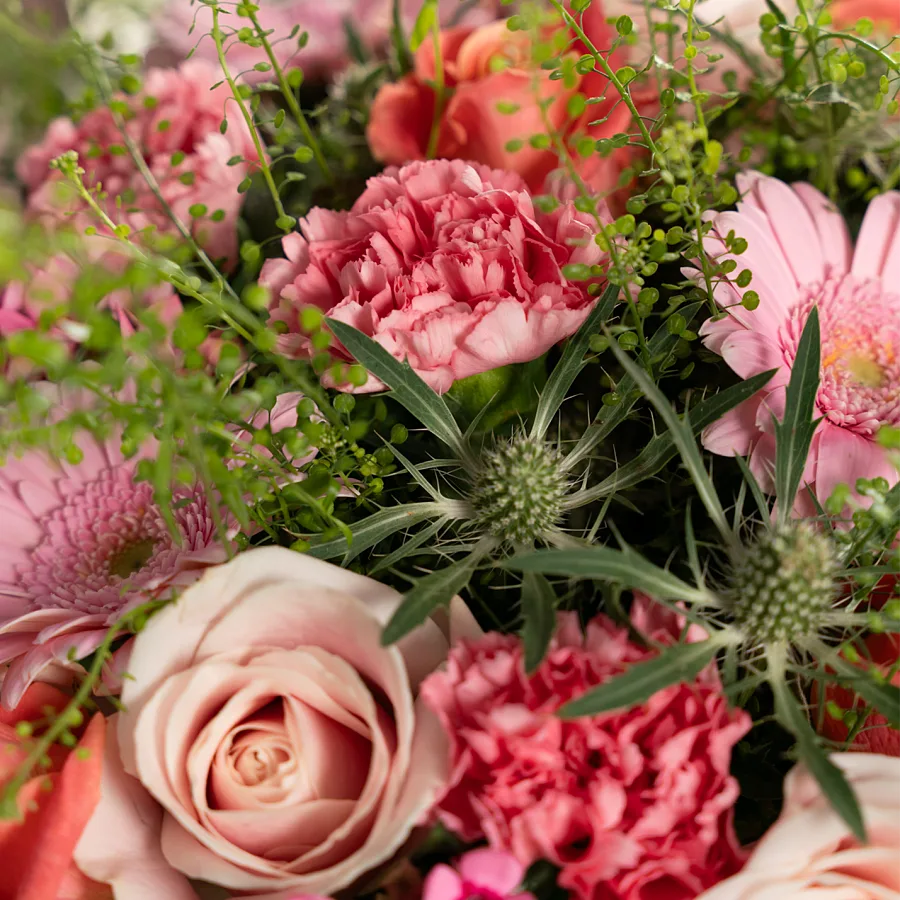 Pink Opulence