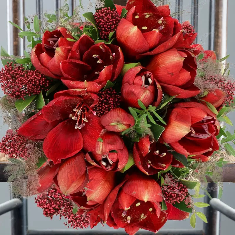 Amaryllis & hypericum Grande