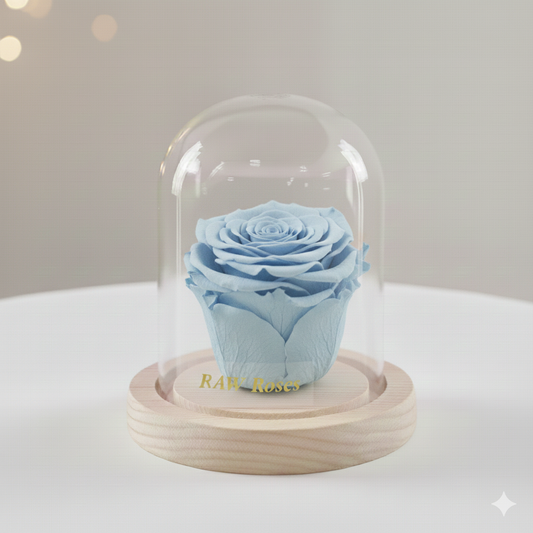 Forever Rose Baby Blue