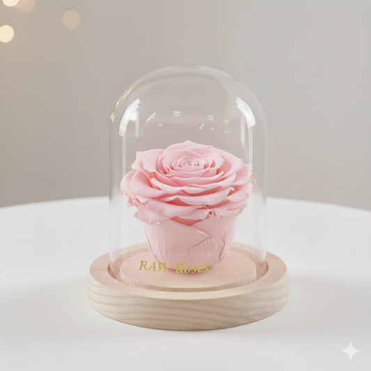 Forever Rose Baby Pink