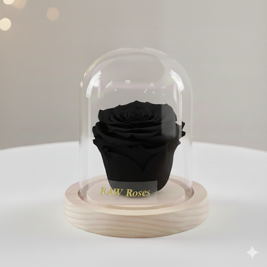 Forever Rose Black