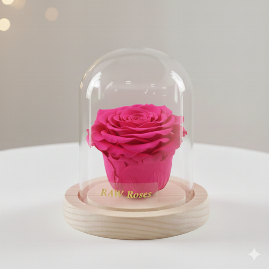 Forever Rose Hot Pink