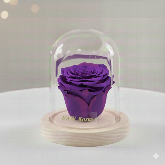 Forever Rose Purple