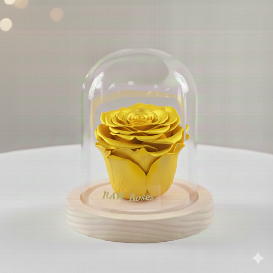 Forever Rose Yellow