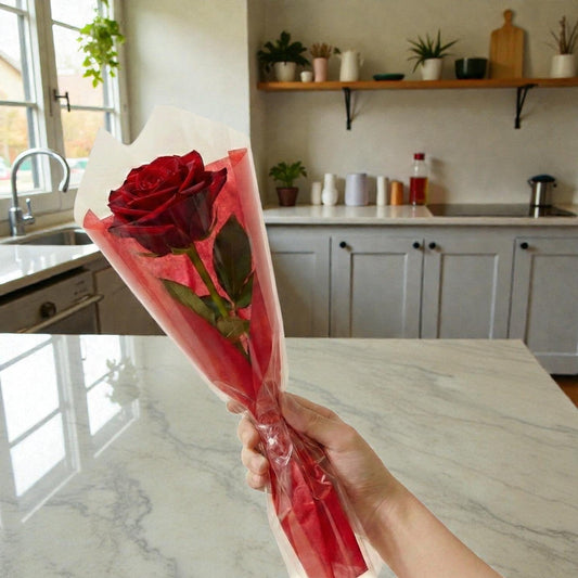 Single Red Rose