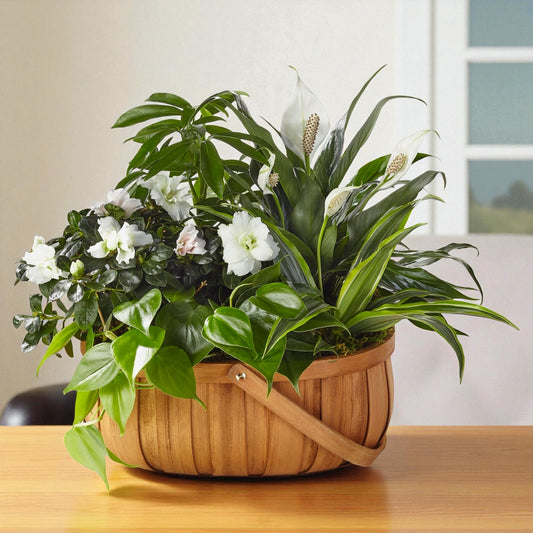 Evergreen Serenity Basket