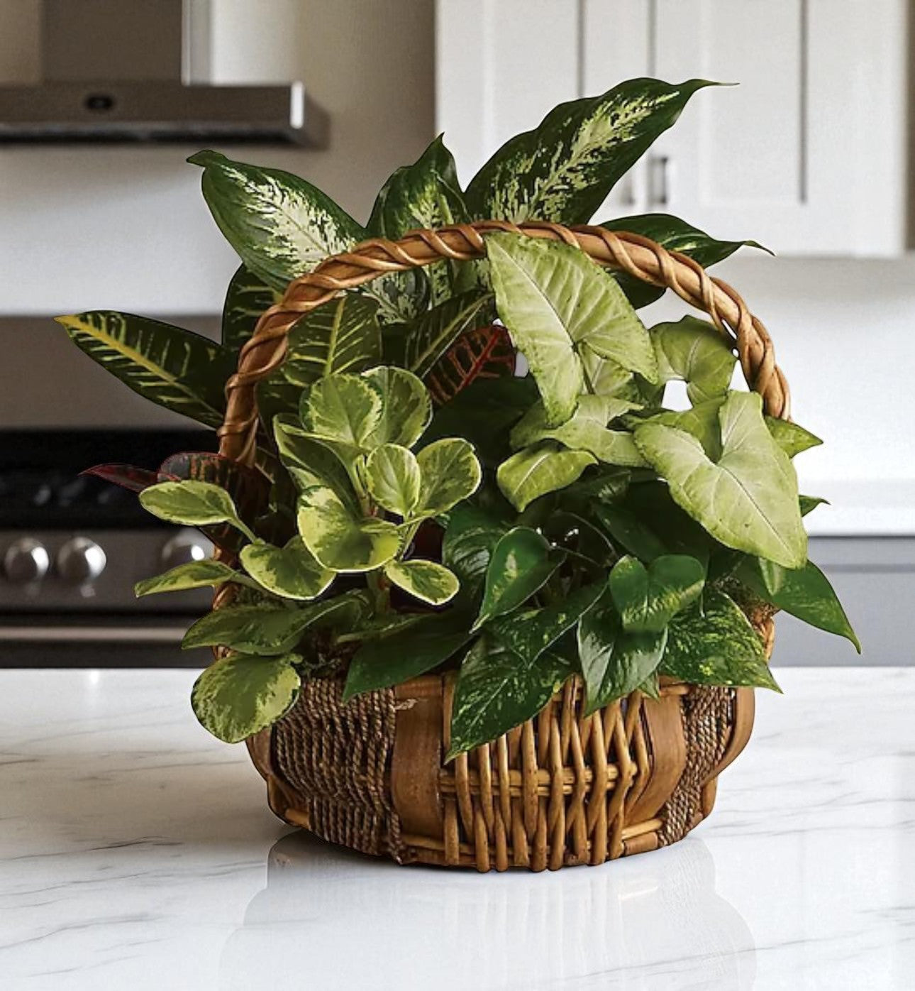 Evergreen Harmony Basket